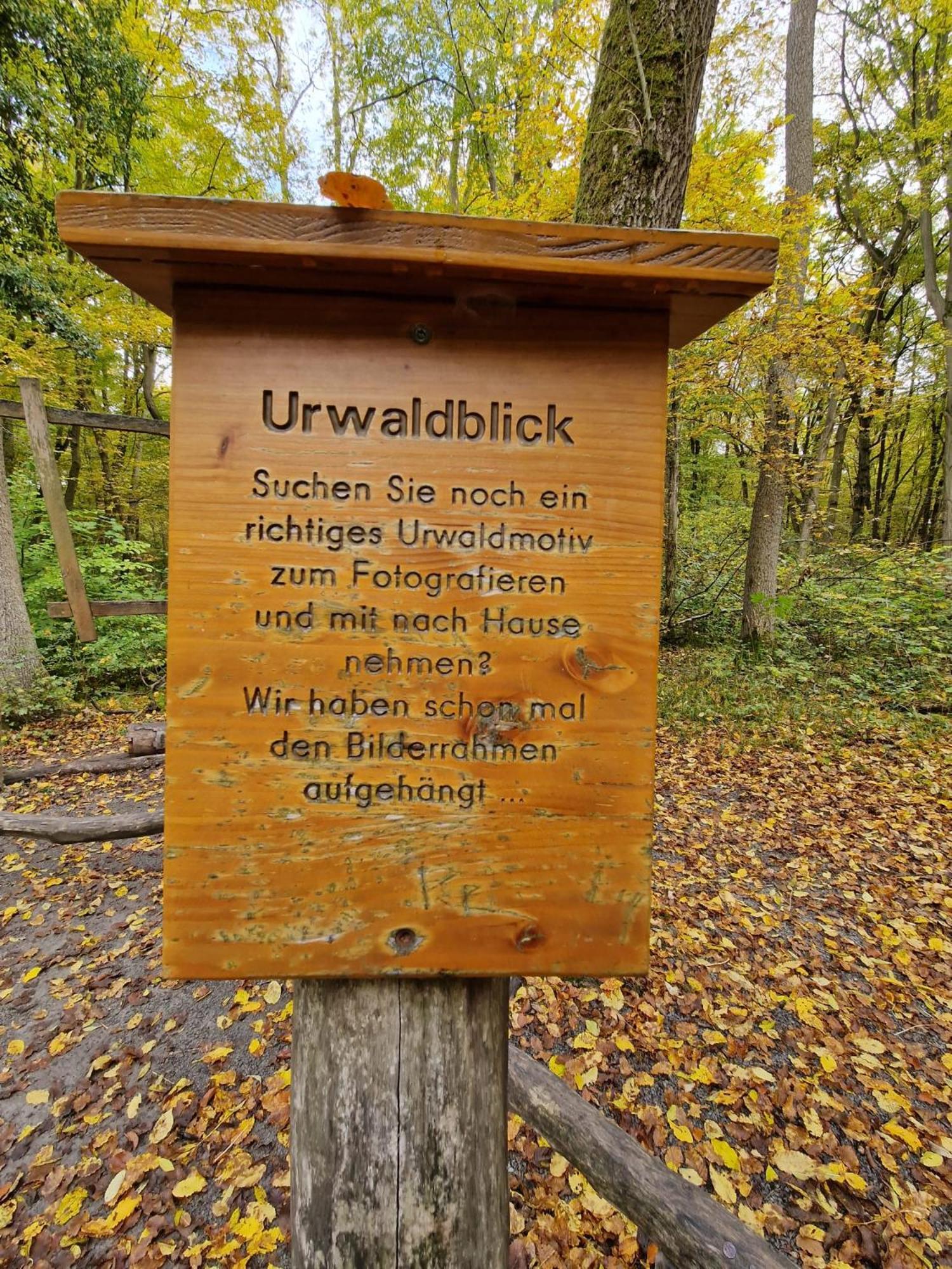 B&B Talstation Horselberg-Hainich Exteriér fotografie